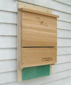 Waveup.shop019da782c9 1