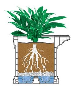 Waveup.shop02f00e914f 1