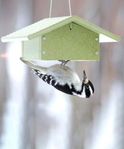 Waveup.shop0797912456 1