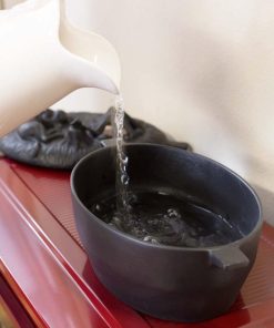 Waveup.shop08779c1bb6 2