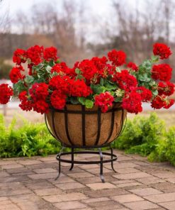 Waveup.shop0af45d06f3 2