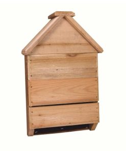 Waveup.shop0b493477d3 1