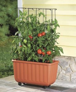 Waveup.shop0b75967089 1