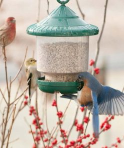 Waveup.shop1221af75ae 1