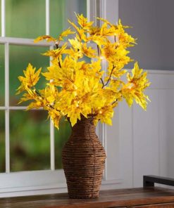 Waveup.shop1bdcf797b8 1