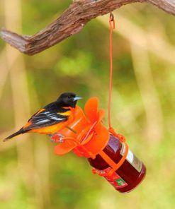 Waveup.shop1d11da6437 1