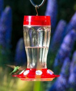 Waveup.shop1f21d858de 1