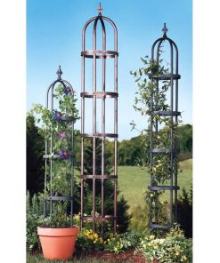 Waveup.shop1fcd139d7e 2