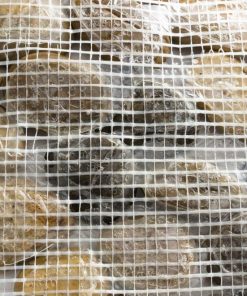 Waveup.shop219ed7a103 5