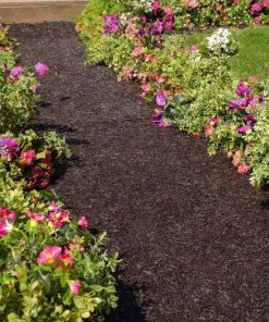 Waveup.shop2e8de95fec 1