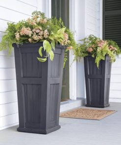 Waveup.shop343fdcd10f 1