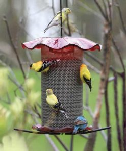 Waveup.shop361239e877 1