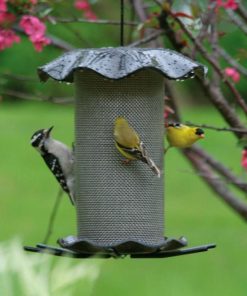 Waveup.shop361239e877 2