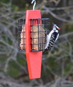 Waveup.shop36bba03d9d 1