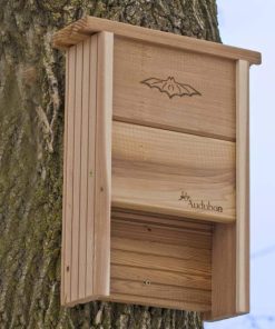 Waveup.shop3c4cc45206 1