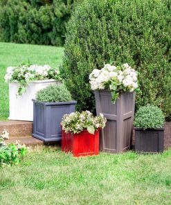 Waveup.shop3f162a418e 1