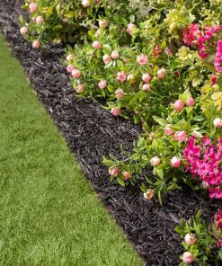 Waveup.shop405798ba31 1