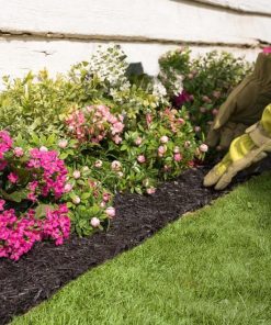 Waveup.shop405798ba31 2