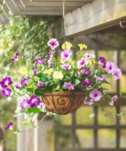 Waveup.shop423f3268b9 1