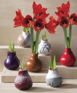 Waveup.shop4a2638ddf4 1