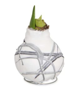 Waveup.shop4a2638ddf4 4