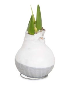 Waveup.shop4a2638ddf4 5