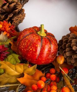 Waveup.shop4d3840b3a1 4