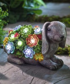 Waveup.shop547218605f 2