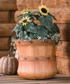 Waveup.shop5dbc3792fd 1