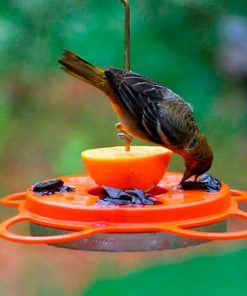 Waveup.shop5e27b0f08b 1