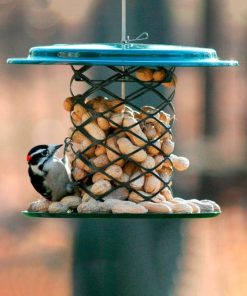 Waveup.shop68da0ddc07 1