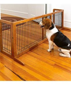 Waveup.shop6bb2be2771 1