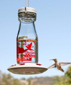 Waveup.shop6d0e0a9ef0 1