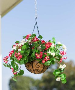 Waveup.shop71c21c1829 1