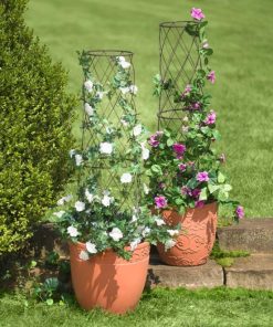 Waveup.shop77c93220e6 1