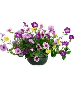 Waveup.shop7f7c81d336 2