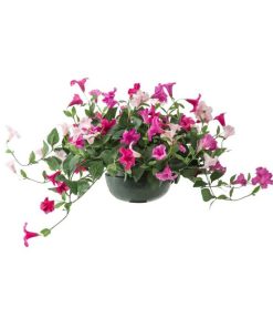 Waveup.shop7f7c81d336 3