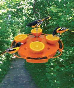 Waveup.shop8ae2cac882 1