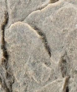 Waveup.shop8d51dc224d 5