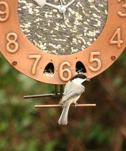 Waveup.shop9b8dc20487 2