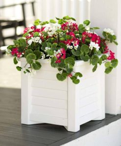 Waveup.shop9d94f2f146 1