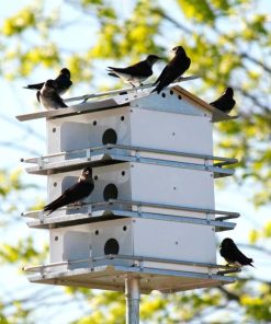 Waveup.shopa04ee1b6da 1