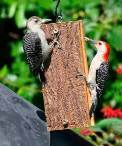 Waveup.shopa1acb58e96 3