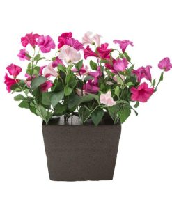 Waveup.shopab51c79775 1