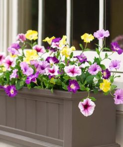 Waveup.shopab51c79775 2