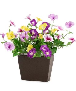 Waveup.shopab51c79775 3