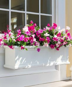 Waveup.shopab51c79775 4