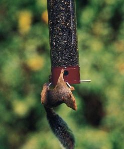 Waveup.shopabe56bd069 2