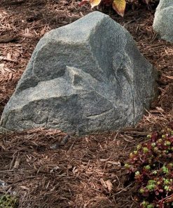 Waveup.shopae4eeb55eb 2