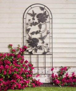 Waveup.shopb6dc370a54 1